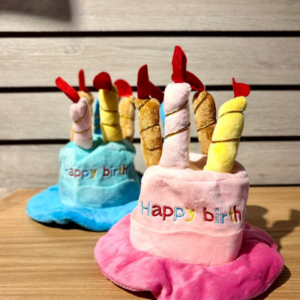 Gorro de Cumpleanos para Mascotas